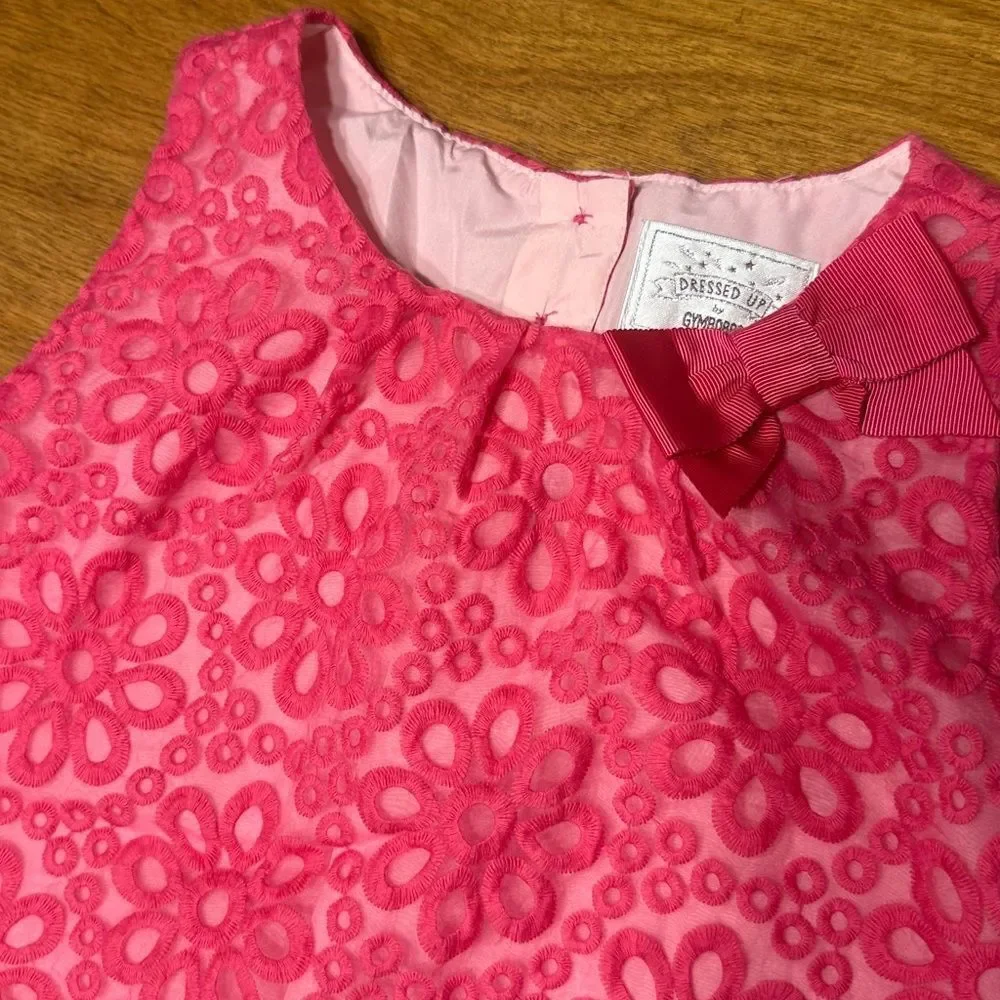 Gymboree Pink Dress with Embroidered Flowers